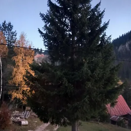 Διαμέρισμα Dorabella *